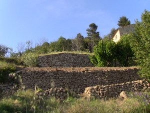 coteau d’Ardèche cévenole